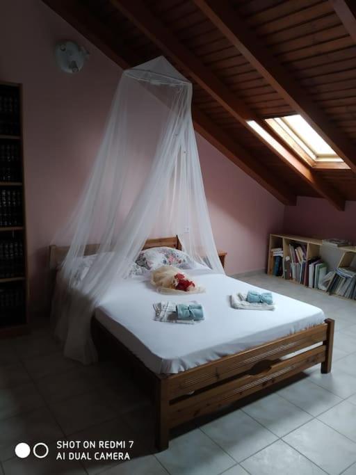 Grecos Apartment เปรเวซา ภายนอก รูปภาพ