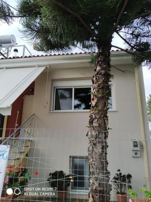 Grecos Apartment เปรเวซา ภายนอก รูปภาพ
